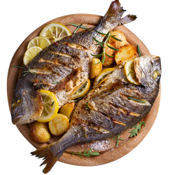 Thunder – Fish Thunder - Fish